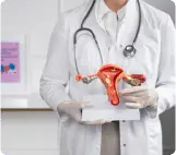 Um médico da ginecologia de jaleco branco com estetoscópio segura um modelo do sistema reprodutor feminino